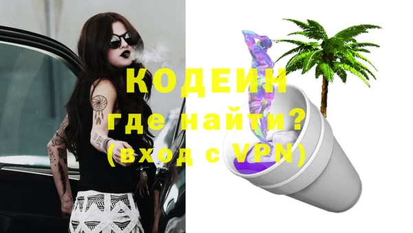 2c-b Бородино