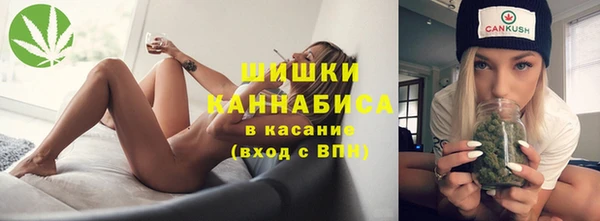 2c-b Бородино