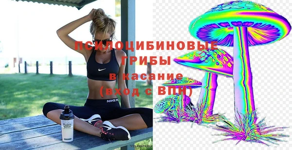 марки nbome Богородицк