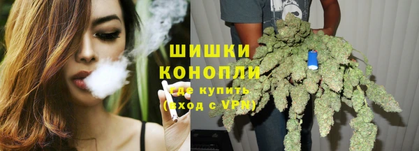 2c-b Бородино