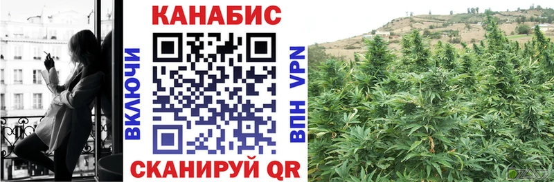 купить закладку  Дигора  Шишки марихуана SATIVA & INDICA 